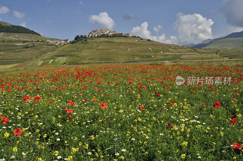 Castelluccio, Norcia, Perugia, Umbria，意大利